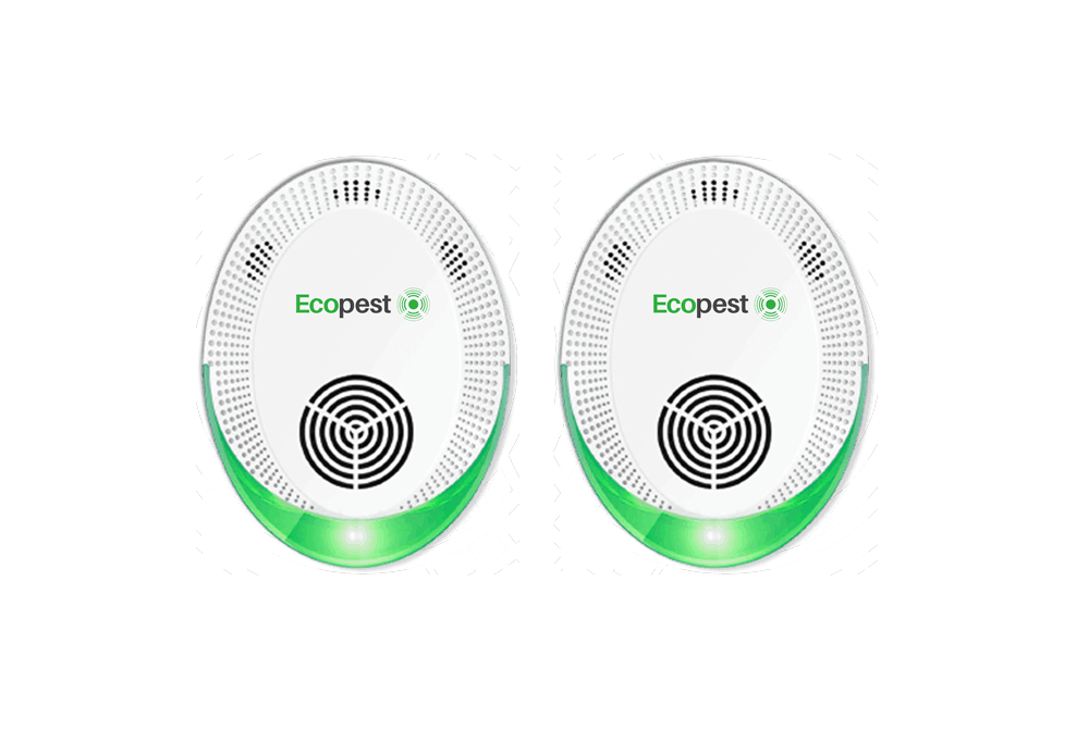 Ecopest: Funziona veramente o è scadente? Recensioni, opinioni e prezzo
