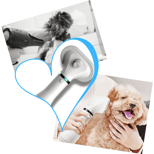 Nice Pet Funziona O Truffa Recensione e opinioni