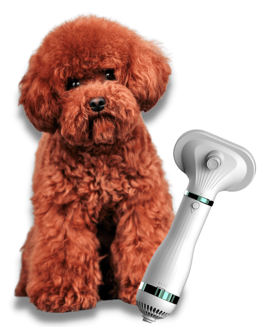 Nice Pet Funziona O Truffa Recensione e opinioni